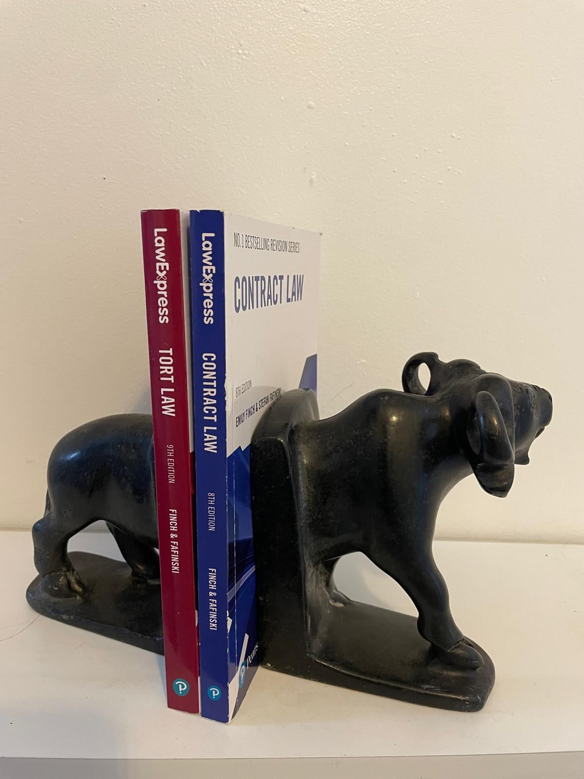 Hand‑Crafted Buffalo Bookends 25cm